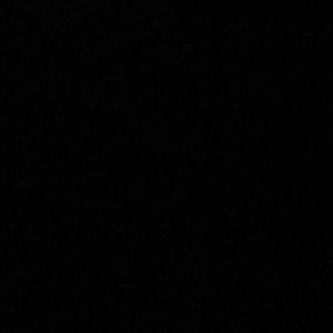 Meet your Posher, Brady